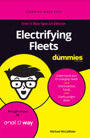 Dummies Guide Cover